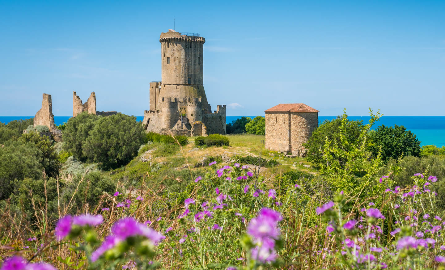 natura fiori castello