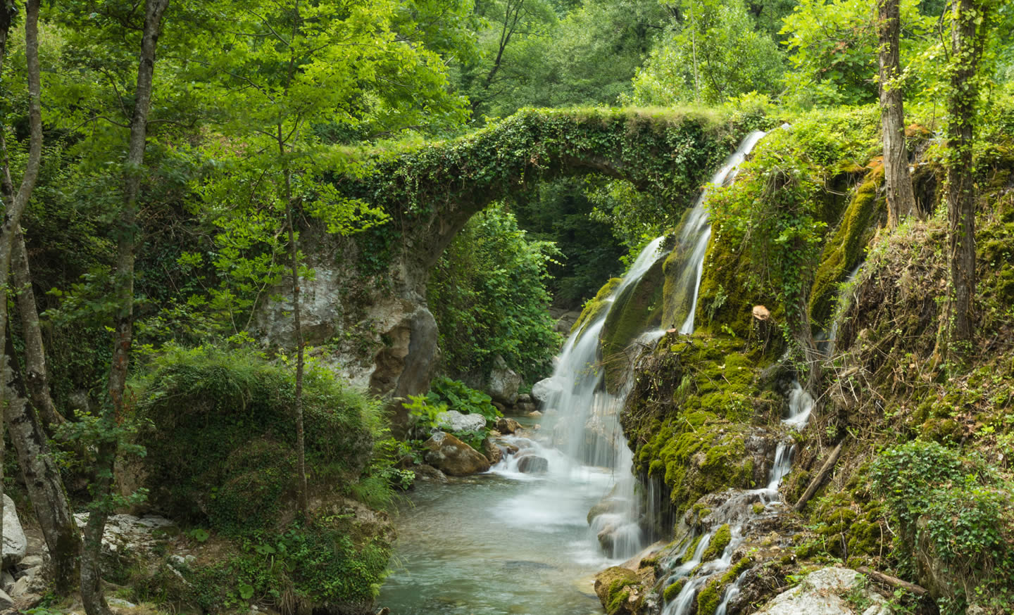 ruscello naturale